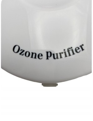 ozonator z funkcją oczyszczenia wody - LineCorr