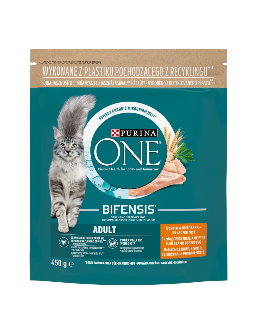 PURINA ONE ADULT Cat Kurczak i pełne ziarna 450g